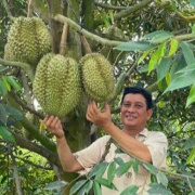 Anh Tám