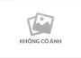 Điều khoản sử dụng