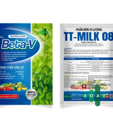 BETA-V TURKEY