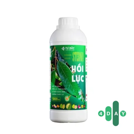 HỒI LỰC