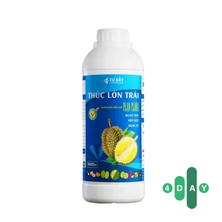 THÚC LỚN TRÁI 1L