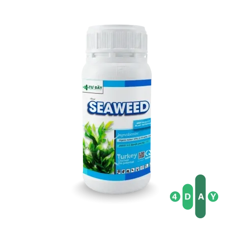 SEAWEED