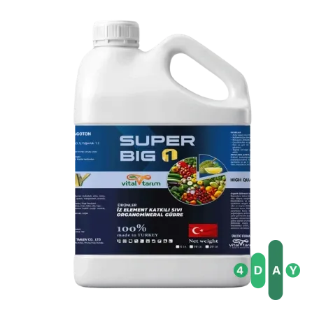 SUPER BIG