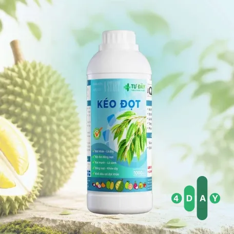 KÉO ĐỌT KÉO ĐỌT