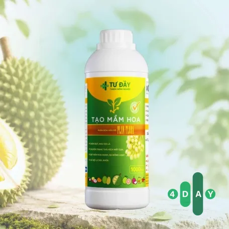 TẠO MẦM HOA TẠO MẦM HOA